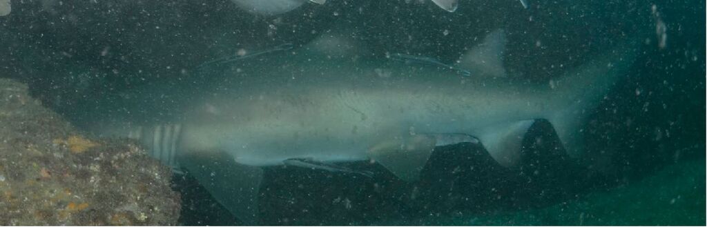 de54a36b-d70a-4050-b8b3-18705261a2b4