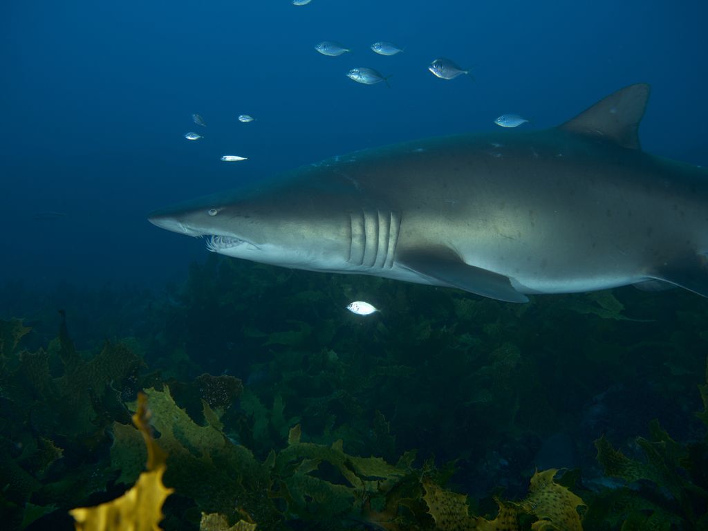 8c740c97-7d68-40d2-a83a-2ee87daa75cf