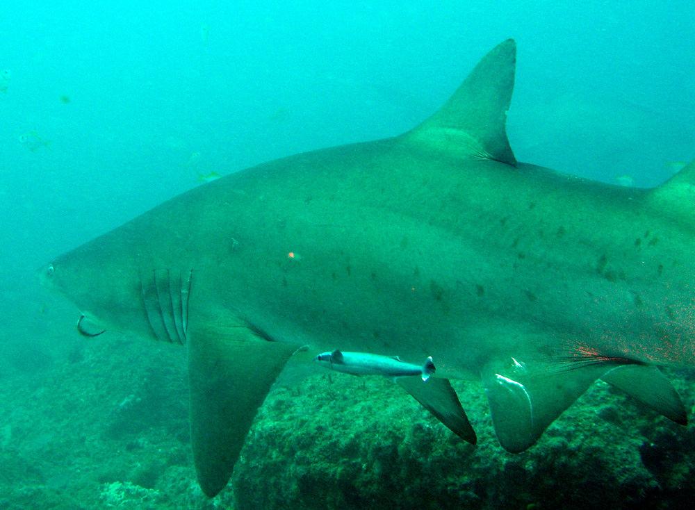 92b2d6b0-fc3e-4fa7-ac24-c0ec96ede542