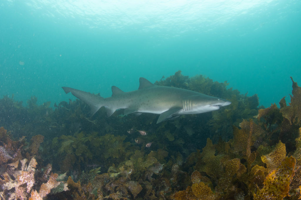 e0425aba-8571-45a3-b667-4157eb78dd32