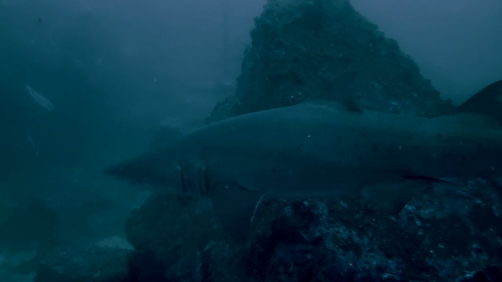 4f44ecc3-72fd-4682-87f2-f78086db62b4