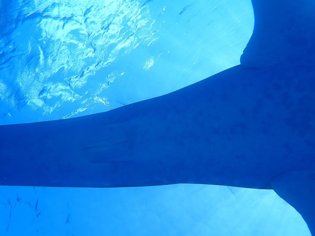 43c4ebc2-415e-45e9-9141-1c80e937b38f