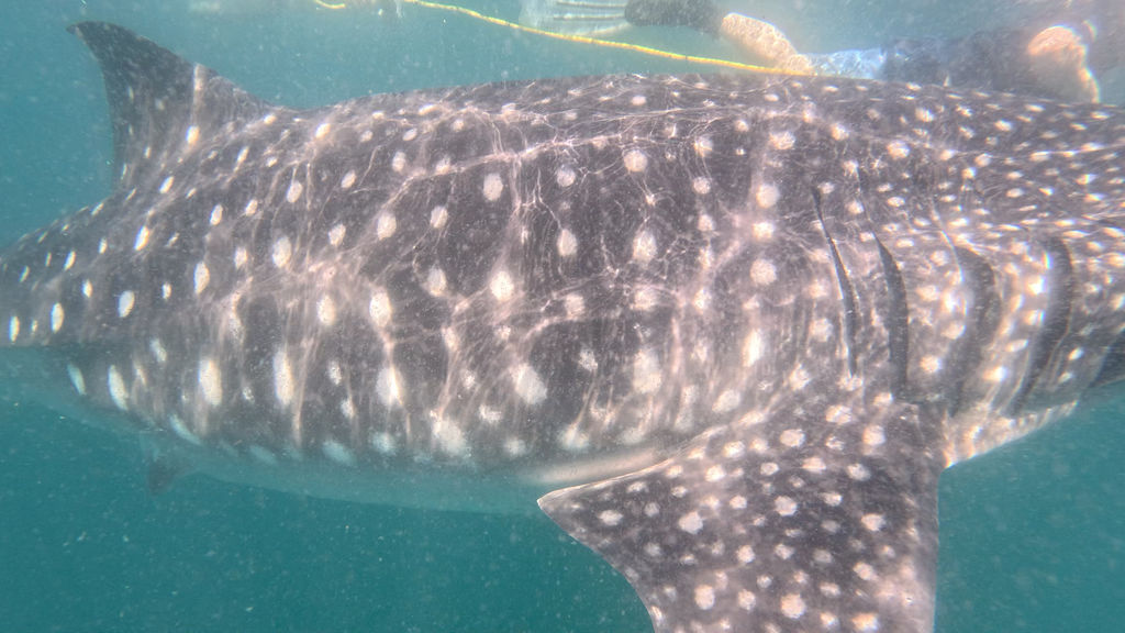 3e34d02a-2c45-4301-984b-29c1ecaf7bdc