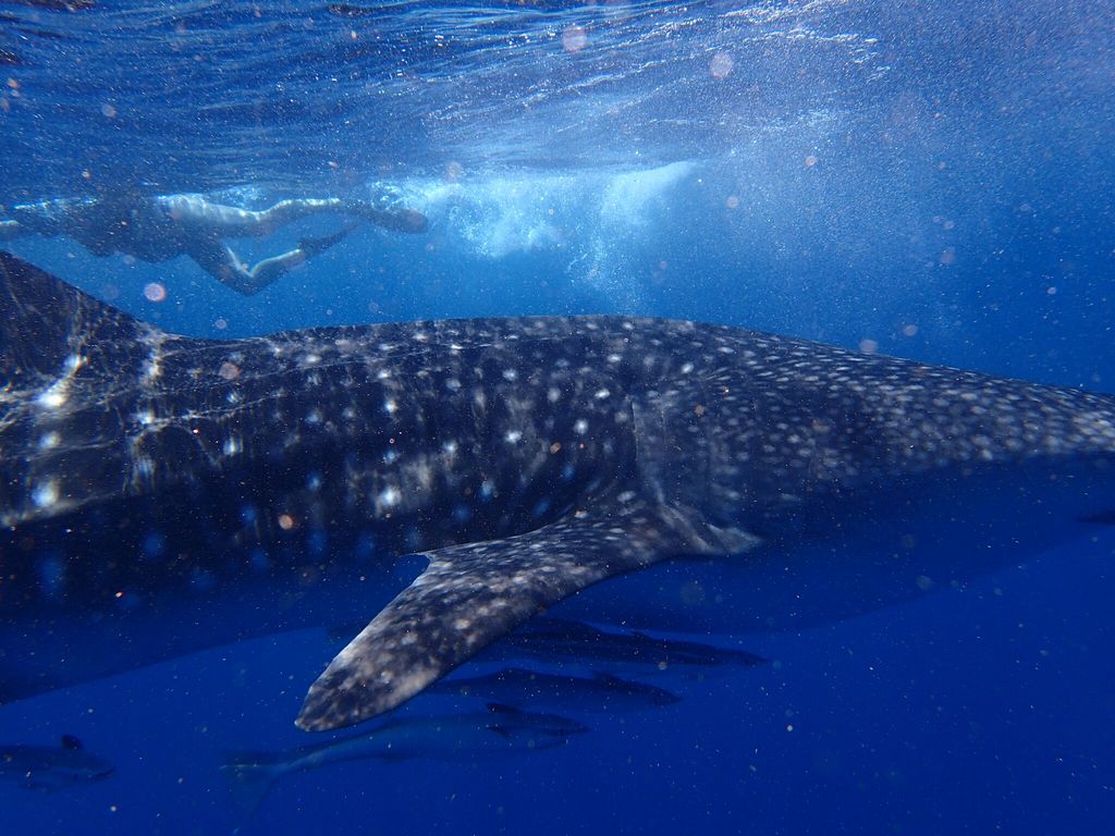 99c29179-a2e5-49f5-b51e-1e4893f09ccd