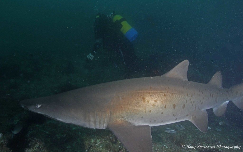 c409b2d6-b099-4564-b052-1b3ab6825d21