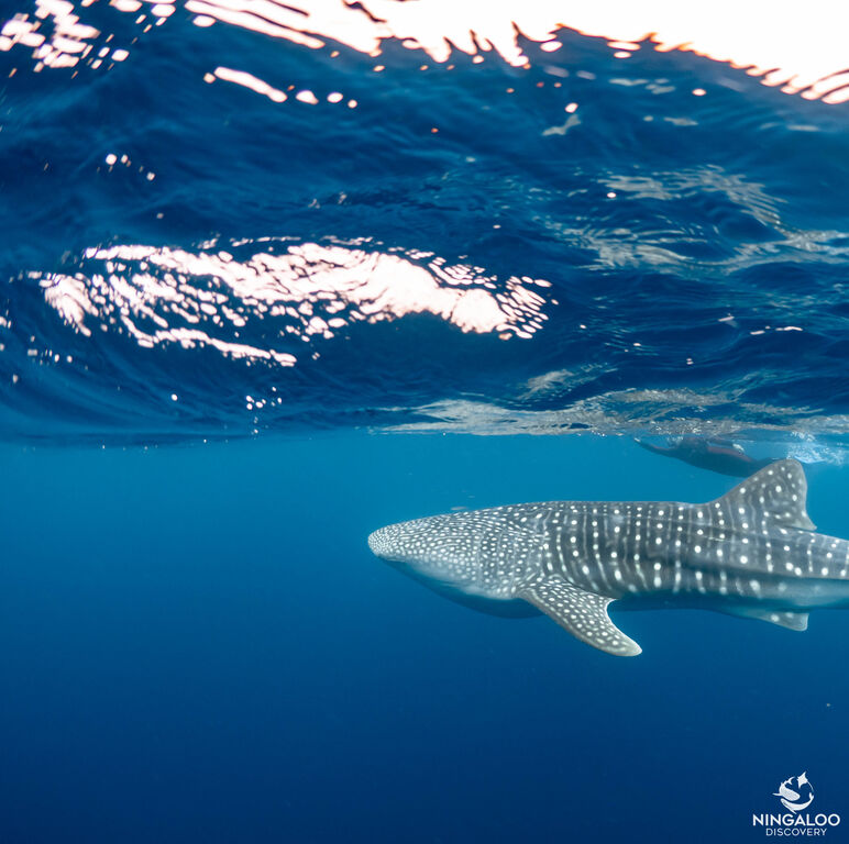 78c15023-3269-4929-a867-280c5a2feb97