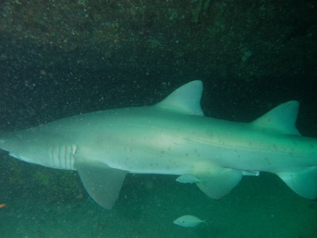 4fa2b1a7-1deb-4d03-a342-926ea8b99017