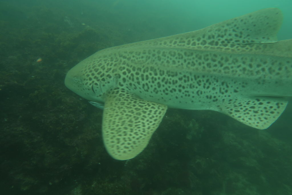 069b2789-a8e8-42c1-b03d-fe9c958cfcd5