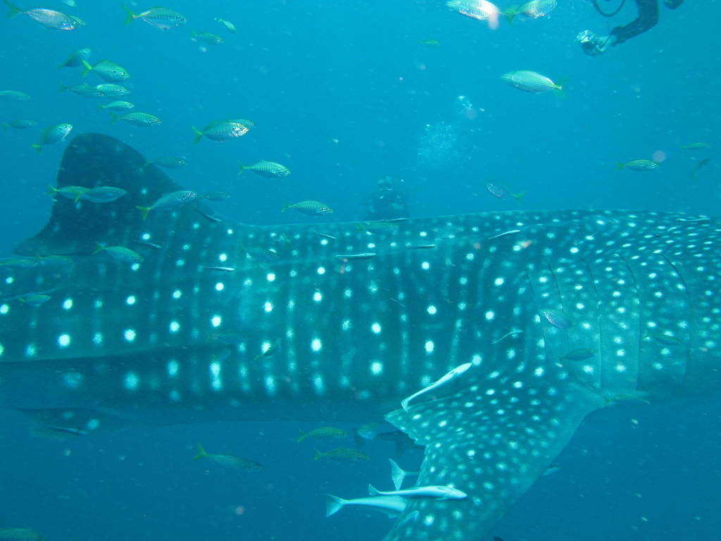 7707d520-830e-4fda-8108-ad517bbba313