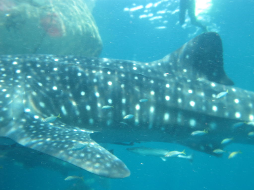 7707d520-830e-4fda-8108-ad517bbba313