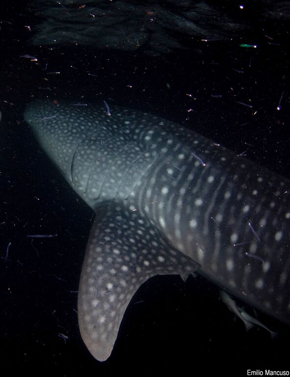 89577b50-86d6-4a44-a740-08ebe6dff25d