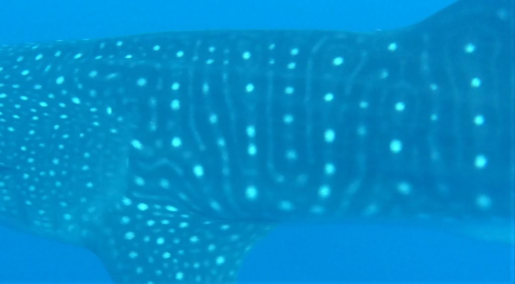 04f34aa4-8c2e-42d5-a60c-61d43c8d0662