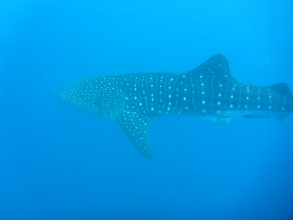 04f34aa4-8c2e-42d5-a60c-61d43c8d0662