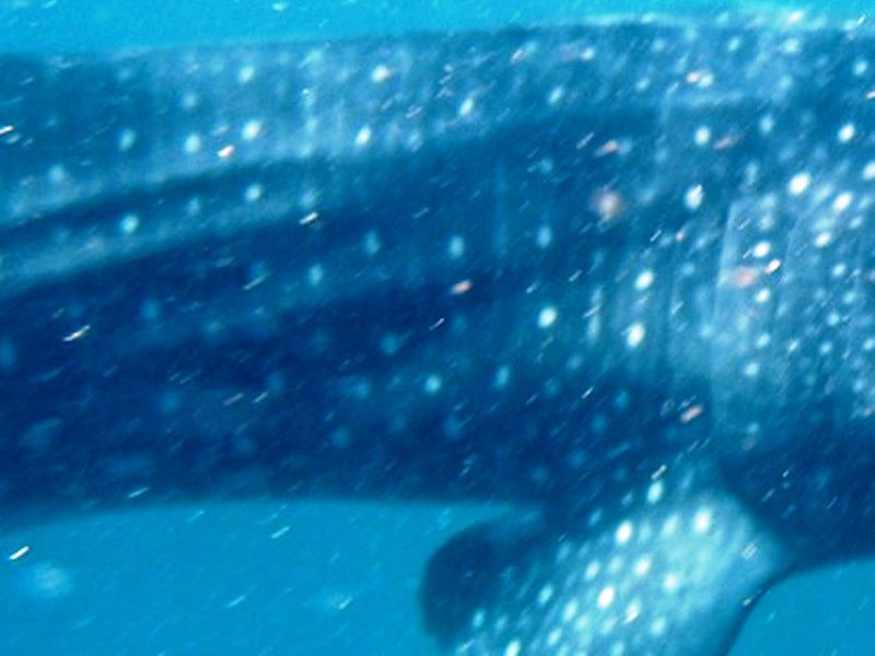 7a9da3d1-1804-456d-97a1-5a684148e2fe