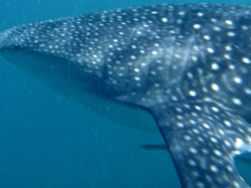 7a9da3d1-1804-456d-97a1-5a684148e2fe