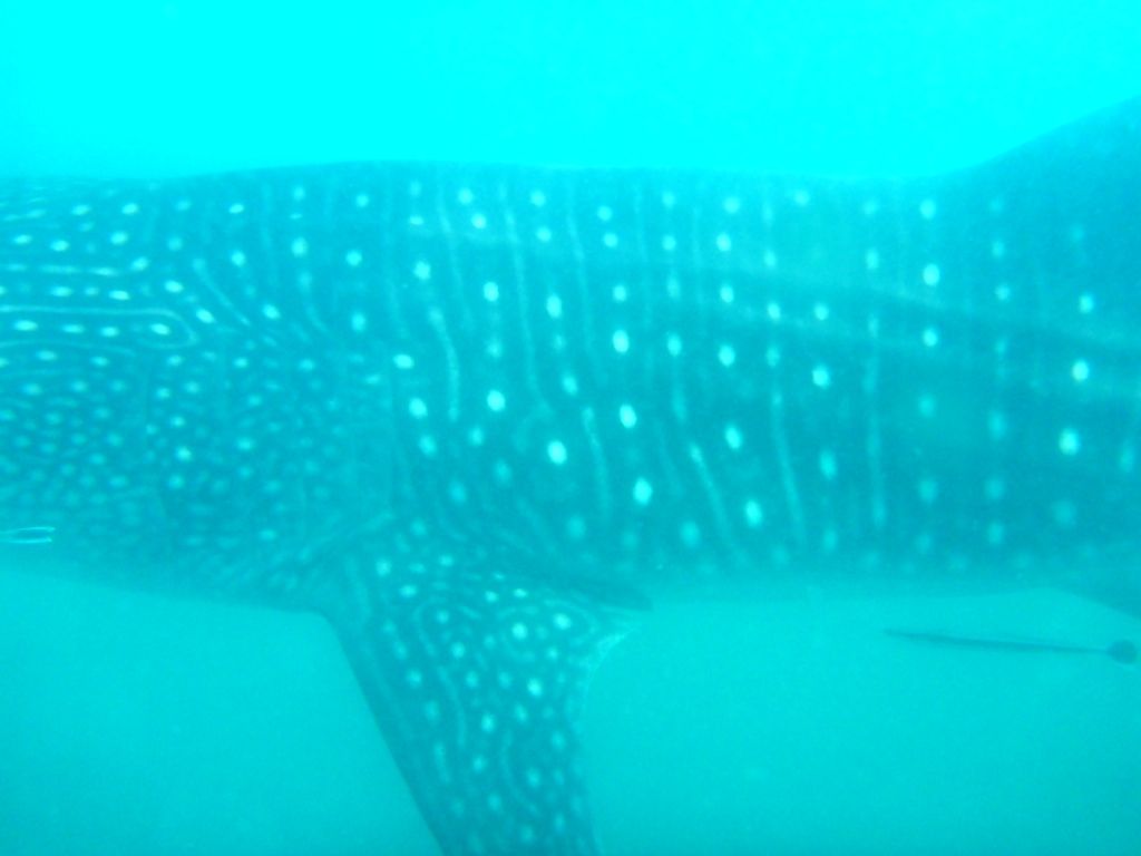 21ee4081-5f8d-4f4e-a71c-244b951ac21d