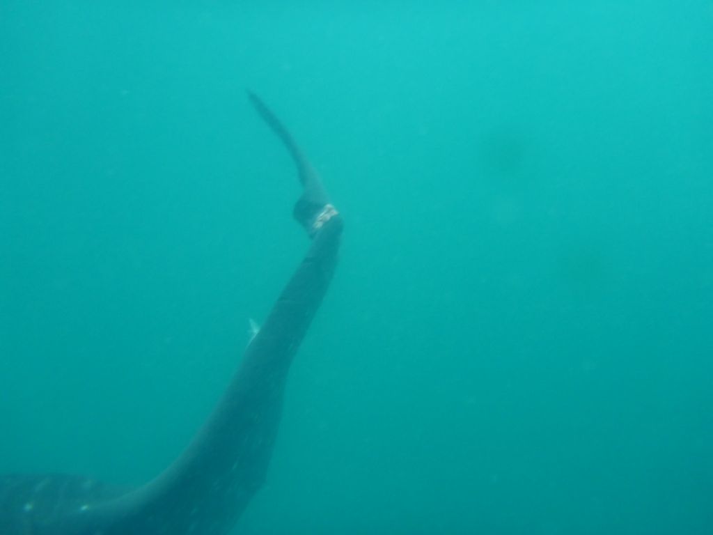 21ee4081-5f8d-4f4e-a71c-244b951ac21d