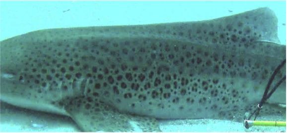 ba9528f0-bd7d-4519-ba87-0f53732b73da