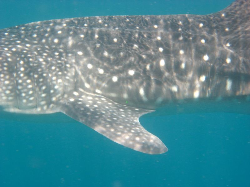 91a49f2d-221d-47ad-b13d-f7504ff57f24