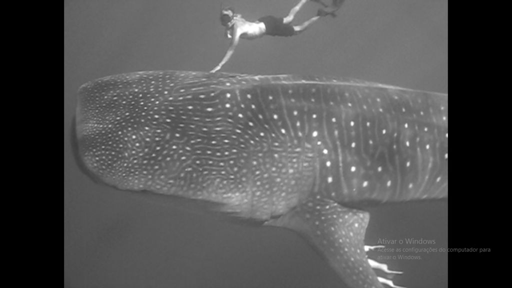 abd4a061-cfeb-4e4b-9225-5f6468b031dc