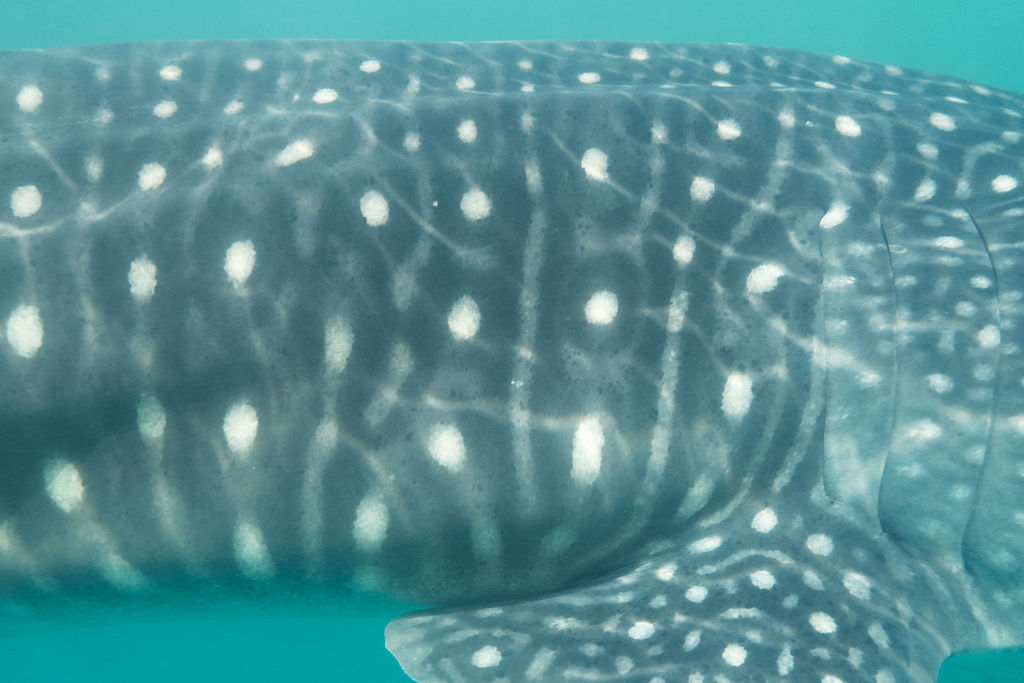 91dc0676-5d89-40a1-9578-a981c2b145ca