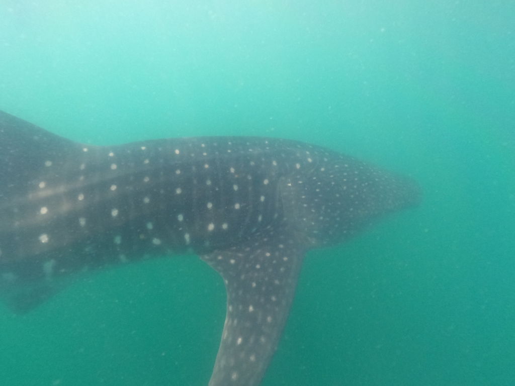 ccf6e155-c3f0-4b38-a668-95d13a140d12