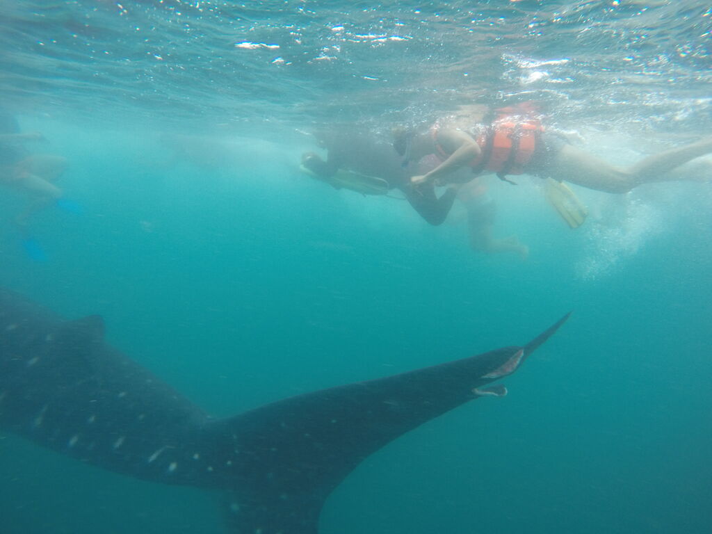 01e73195-db96-4312-aba8-9fc8004d289e