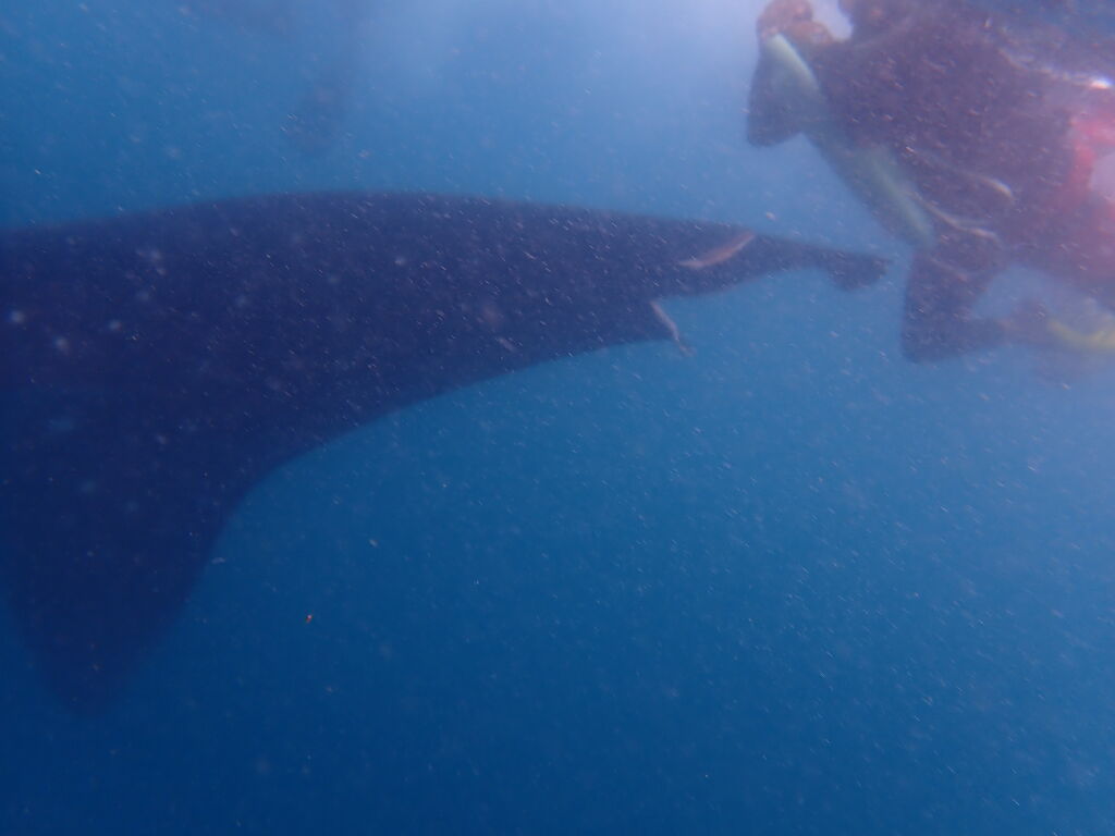 01e73195-db96-4312-aba8-9fc8004d289e