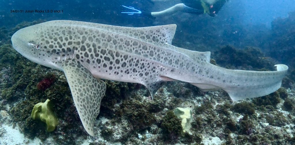 e965cda1-d920-4ea2-8b68-56265d047b6a