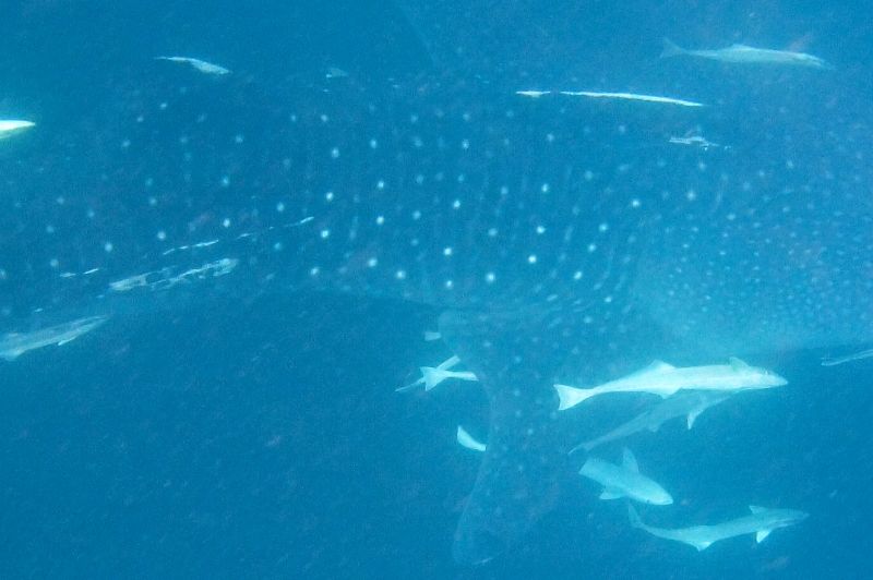 75200f0e-81e8-43bc-9599-4d8b65606197