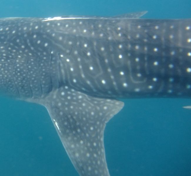 75200f0e-81e8-43bc-9599-4d8b65606197