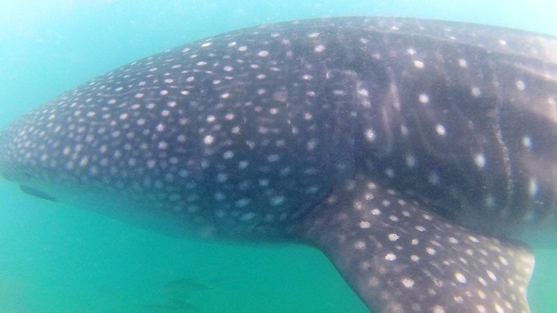 8a4a3661-2216-42a3-8bee-d106dc3cd47b