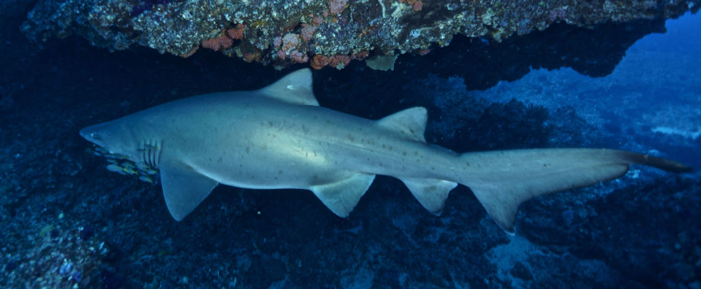 1703228b-2ae2-406b-88b6-75ed13fc9b2b