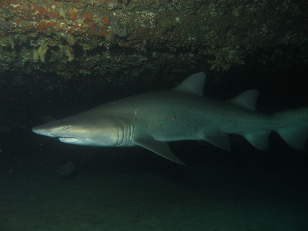 65914b2e-8a8f-4db7-9f67-62457a5d8a15