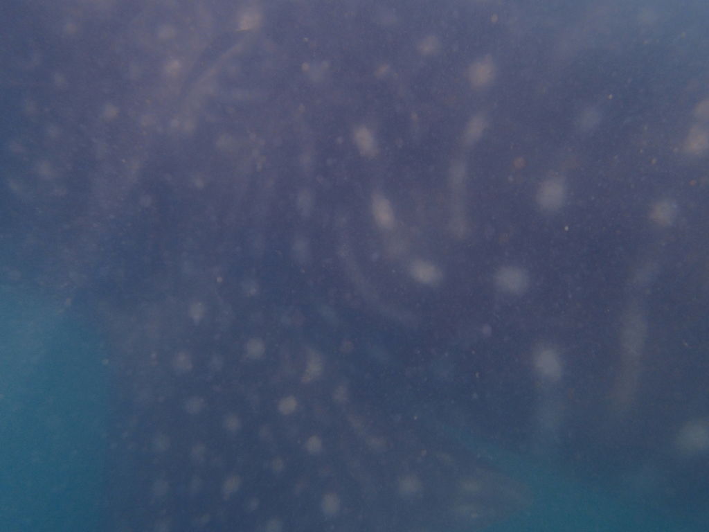 eb4b460c-7918-4bb2-bc36-007a8f7937a6