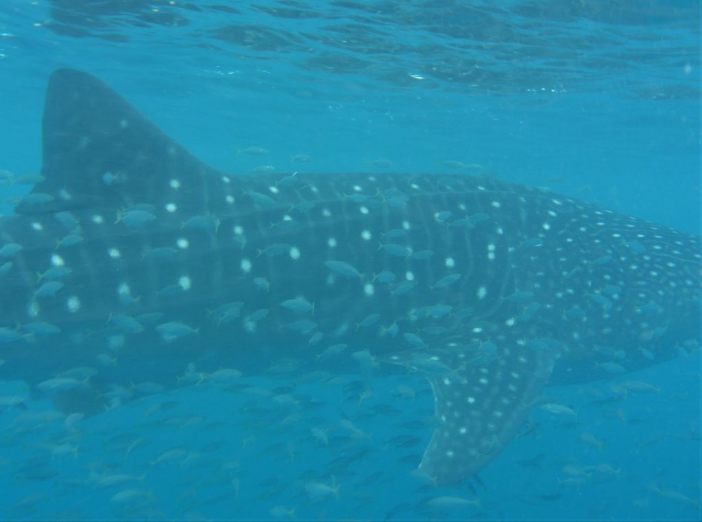 347647b2-22da-4610-8abc-a2b5840eccd0