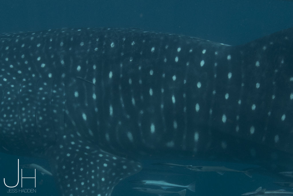 70ec9780-58b6-47bc-b966-56f5db43ac1d