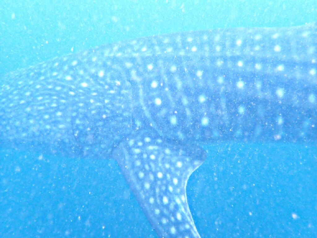 8ef5cfde-e826-4e29-9f49-1e2eb3e455c4