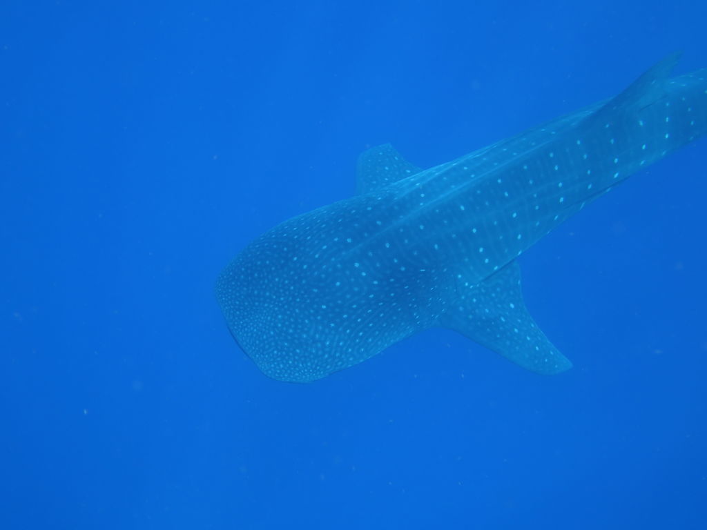 d2f0b738-b6f1-4380-b7f2-a3e566225255