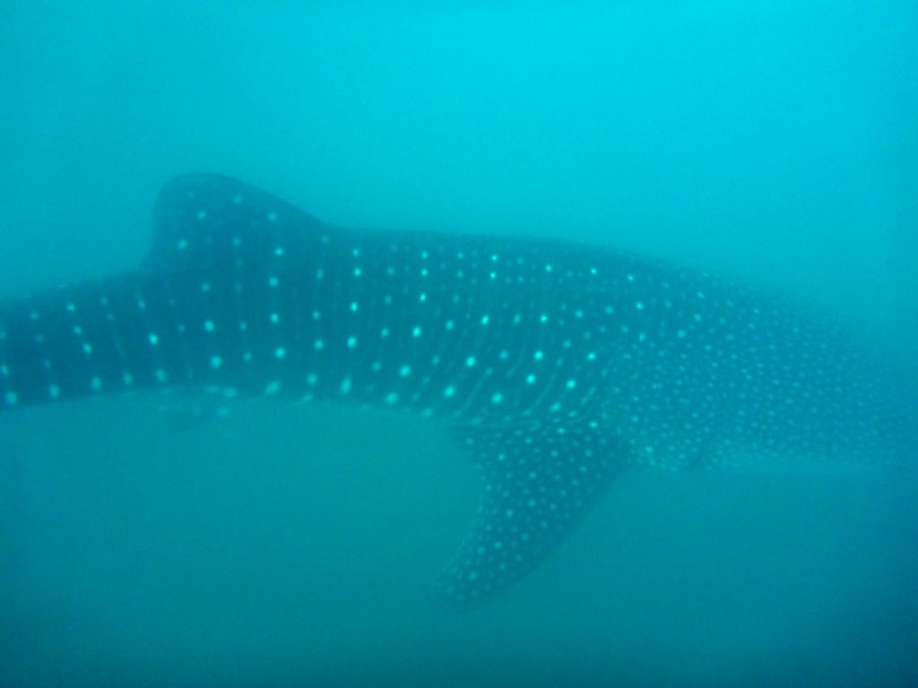 23259b2f-14a6-4aed-8ac9-367ddc4d5b95