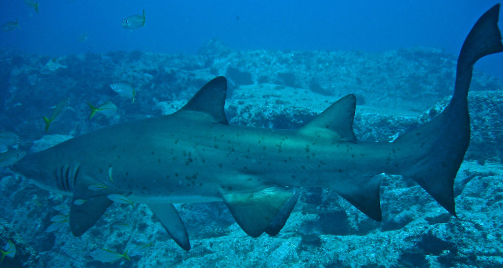 8a7d5b13-5bfb-4de1-8ad1-878b91a99292