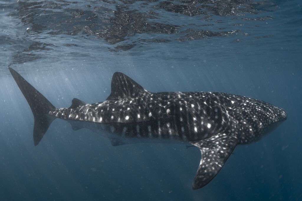 b5fbc1f8-8fa1-45f7-9f42-c83a9ab6119e