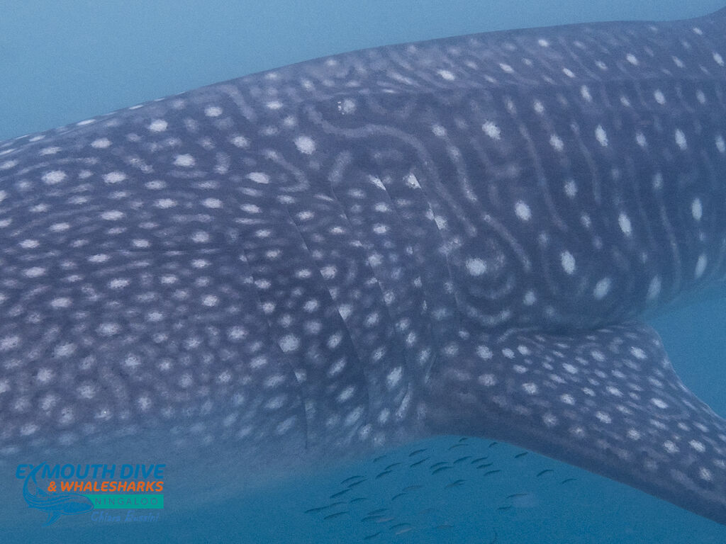 509d7948-8cf3-4a1f-97de-427edec31af1