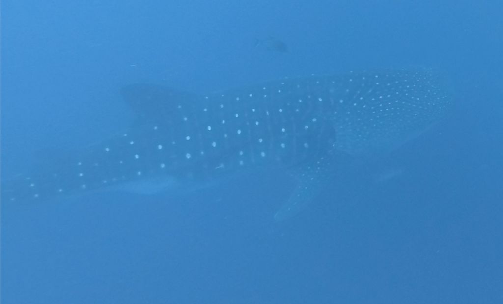 b7fb7407-cde8-42d3-b83a-92e33135a36b