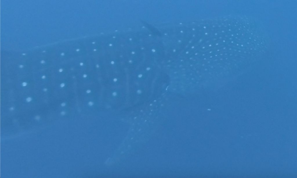 b7fb7407-cde8-42d3-b83a-92e33135a36b