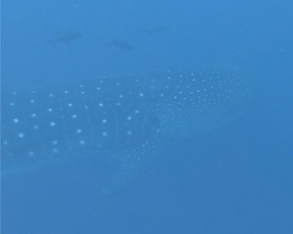 b7fb7407-cde8-42d3-b83a-92e33135a36b