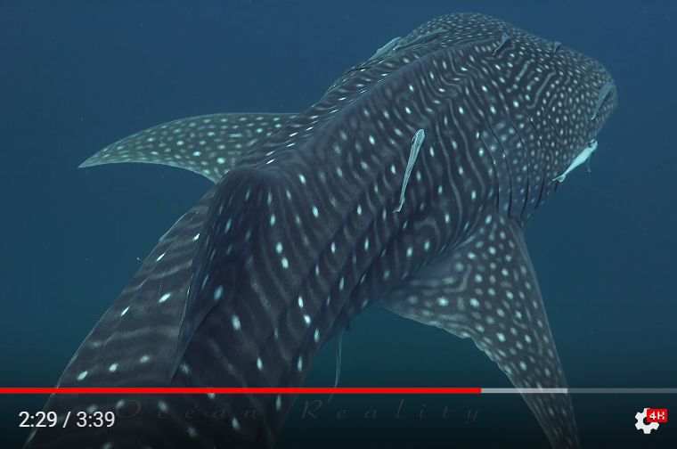 b0af999c-f132-4161-a51f-f4e92d0da533