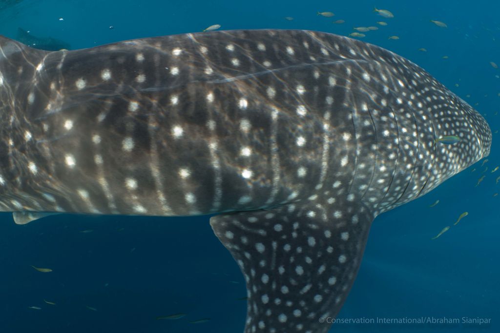 846fc0f9-7625-4220-8c44-65a089aee9e7