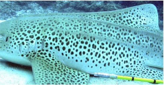 22648976-1a53-4992-9a4e-9c32cb435750