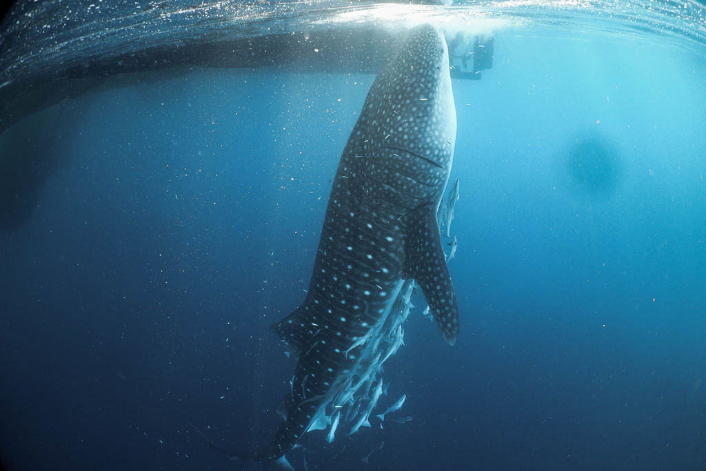 69b4958a-e819-4cac-8c8f-d7f413a5d9e5